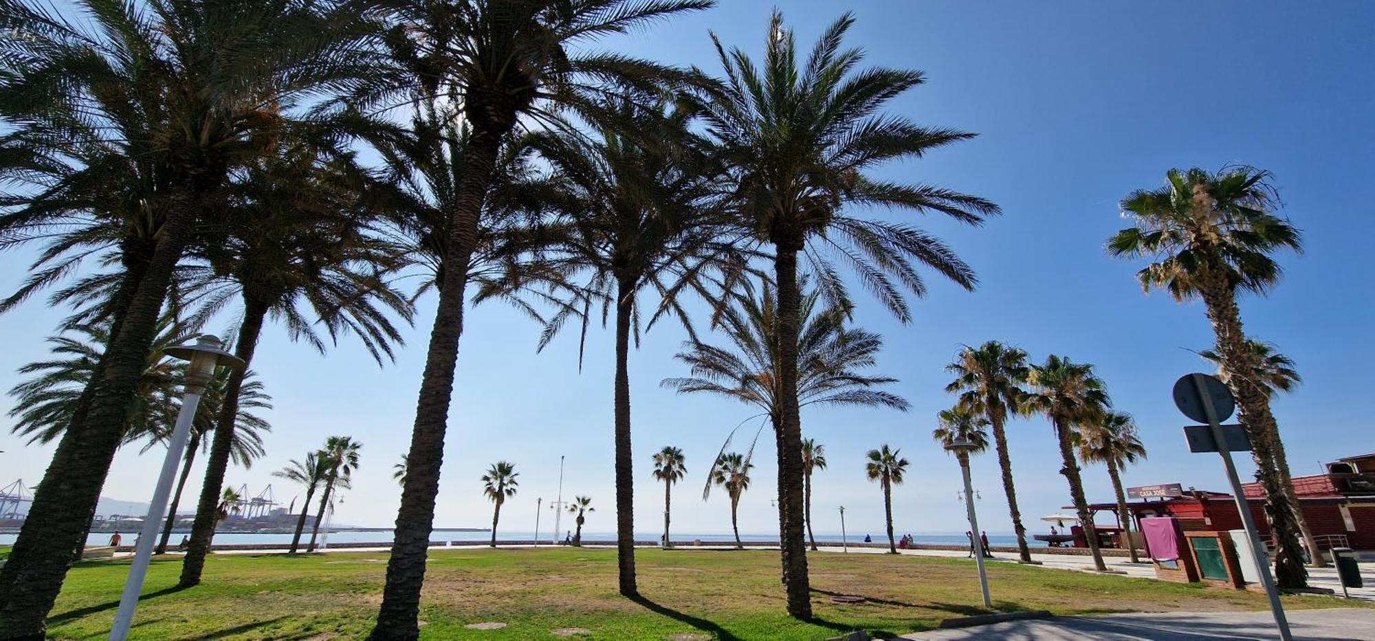 Paloma Beach 말라가 외부 사진